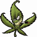 tu trouvera ici ma vie mes potes ma passion ma famille etc...